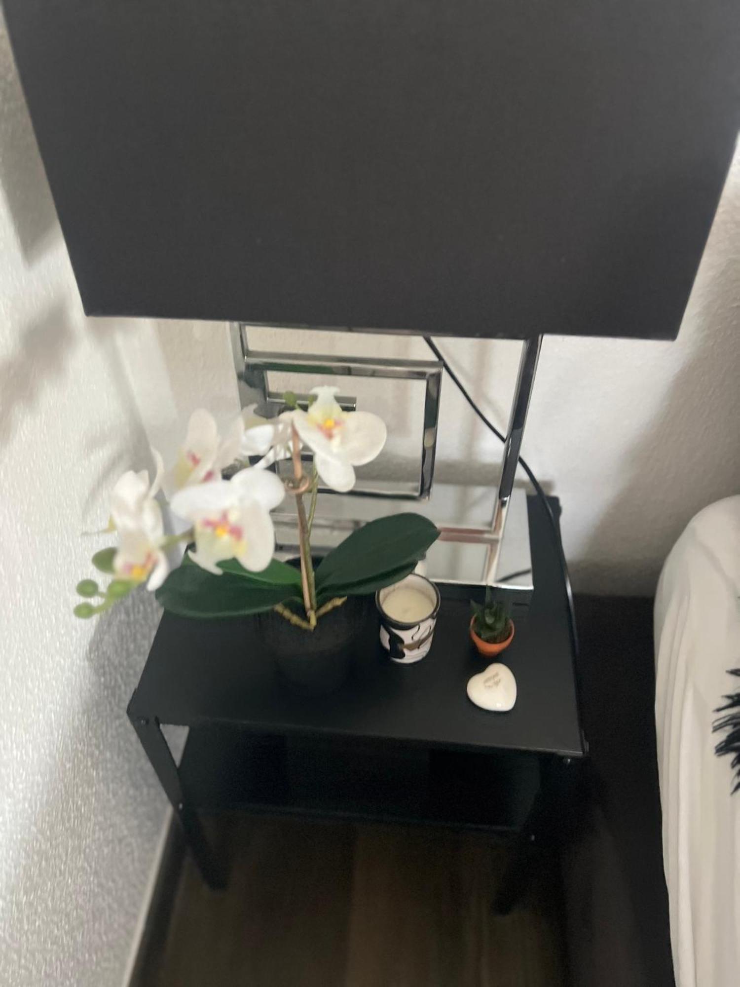 Studio Zürich Kültér fotó